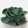 Artificial succulent 10*10*11cm potted leaf in cemnet pot GS-51723051 2024Feb YeahFlower is one of Chinese leading OEM manufacturers and exporters , supplying the silk flowers, wholesale artificial trees