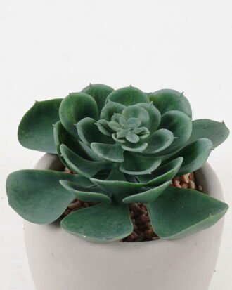 Artificial succulent 10*10*11cm potted leaf in cemnet pot GS-51723051 2024Feb YeahFlower is one of Chinese leading OEM manufacturers and exporters , supplying the silk flowers, wholesale artificial trees