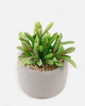 Artificial succulent 12*10*15cm potted leaf in cemnet pot GS-51723052 2024Feb YeahFlower is one of Chinese leading OEM manufacturers and exporters , supplying the silk flowers, wholesale artificial trees