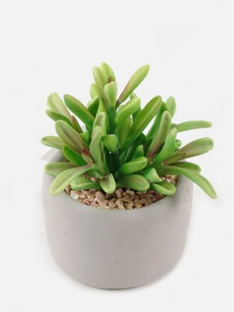 Artificial succulent 10*10*11cm potted leaf in cemnet pot GS-51723051 Succulent 3,000+ sqm showroom with thousands of artificial flowers, plants & trees ready for global sourcing.