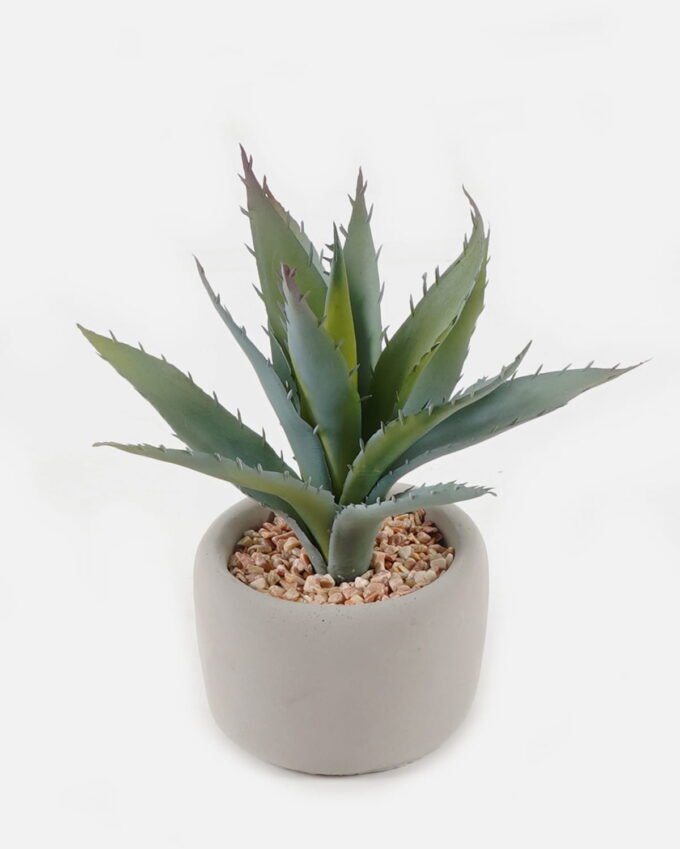 Artificial succulent 13*13*18cm potted leaf in cemnet pot GS-51723053 2024Feb YeahFlower is one of Chinese leading OEM manufacturers and exporters , supplying the silk flowers, wholesale artificial trees