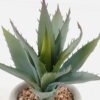 Artificial succulent 13*13*18cm potted leaf in cemnet pot GS-51723053 2024Feb YeahFlower is one of Chinese leading OEM manufacturers and exporters , supplying the silk flowers, wholesale artificial trees
