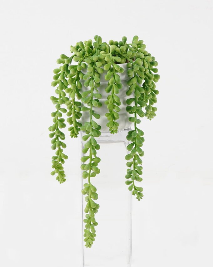 Artificial succulent 13*13*33cm potted leaf in cemnet pot GS-51723054 2024Feb YeahFlower is one of Chinese leading OEM manufacturers and exporters , supplying the silk flowers, wholesale artificial trees