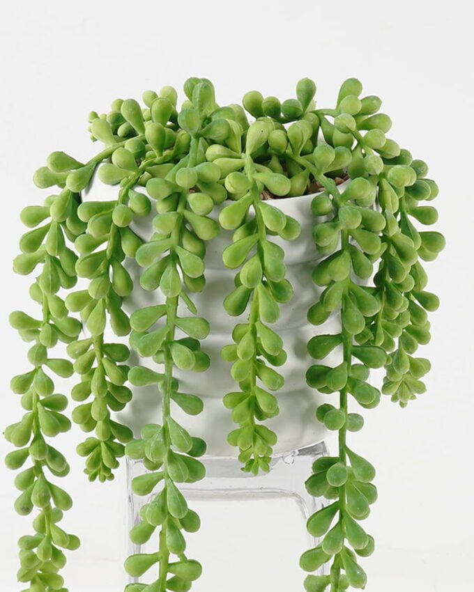 Artificial succulent 13*13*33cm potted leaf in cemnet pot GS-51723054 2024Feb YeahFlower is one of Chinese leading OEM manufacturers and exporters , supplying the silk flowers, wholesale artificial trees