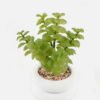 Artificial succulent 11*11*18cm potted leaf in cemnet pot GS-51723063 2024Feb YeahFlower is one of Chinese leading OEM manufacturers and exporters , supplying the silk flowers, wholesale artificial trees