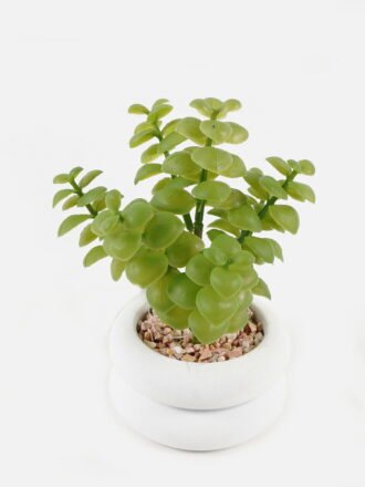 Artificial succulent 7*7*9cm potted leaf in cemnet pot GS-51723064 Succulent 3,000+ sqm showroom with thousands of artificial flowers, plants & trees ready for global sourcing.