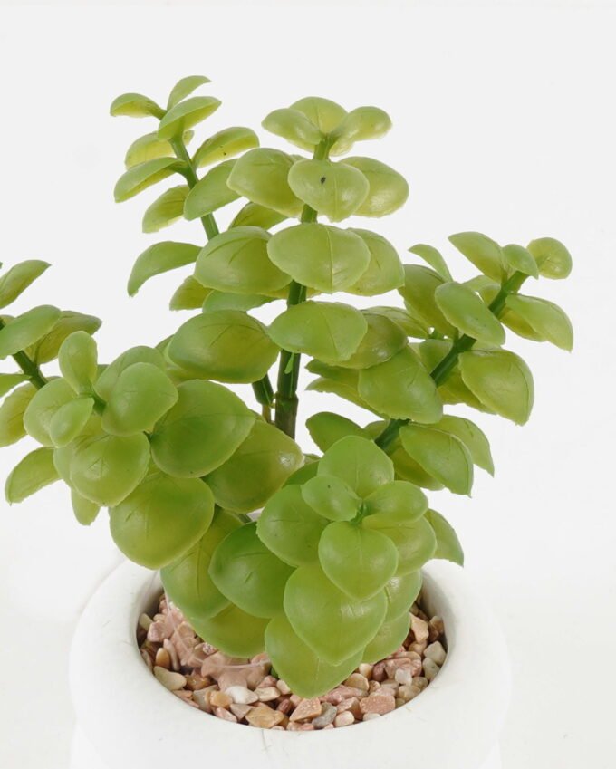 Artificial succulent 11*11*18cm potted leaf in cemnet pot GS-51723063 2024Feb YeahFlower is one of Chinese leading OEM manufacturers and exporters , supplying the silk flowers, wholesale artificial trees