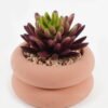 Artificial succulent 7*7*9cm potted leaf in cemnet pot GS-51723064 2024Feb YeahFlower is one of Chinese leading OEM manufacturers and exporters , supplying the silk flowers, wholesale artificial trees