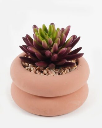 Artificial succulent 7*7*9cm potted leaf in cemnet pot GS-51723064 2024Feb YeahFlower is one of Chinese leading OEM manufacturers and exporters , supplying the silk flowers, wholesale artificial trees Artificial succulent 7*7*9cm potted leaf in cemnet pot GS-51723064 2024Feb YeahFlower is one of Chinese leading OEM manufacturers and exporters , supplying the silk flowers, wholesale artificial trees