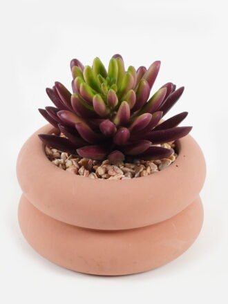 Artificial succulent 8*8*13cm potted leaf in cemnet pot GS-51723065 Succulent 3,000+ sqm showroom with thousands of artificial flowers, plants & trees ready for global sourcing.