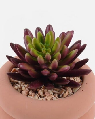 Artificial succulent 7*7*9cm potted leaf in cemnet pot GS-51723064 2024Feb YeahFlower is one of Chinese leading OEM manufacturers and exporters , supplying the silk flowers, wholesale artificial trees Artificial succulent 7*7*9cm potted leaf in cemnet pot GS-51723064 2024Feb YeahFlower is one of Chinese leading OEM manufacturers and exporters , supplying the silk flowers, wholesale artificial trees