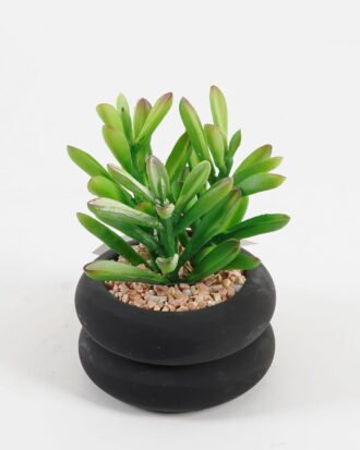 Artificial succulent 8*8*13cm potted leaf in cemnet pot GS-51723065 2024Feb YeahFlower is one of Chinese leading OEM manufacturers and exporters , supplying the silk flowers, wholesale artificial trees Artificial succulent 8*8*13cm potted leaf in cemnet pot GS-51723065 2024Feb YeahFlower is one of Chinese leading OEM manufacturers and exporters , supplying the silk flowers, wholesale artificial trees