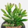 Artificial succulent 8*8*13cm potted leaf in cemnet pot GS-51723065 2024Feb YeahFlower is one of Chinese leading OEM manufacturers and exporters , supplying the silk flowers, wholesale artificial trees