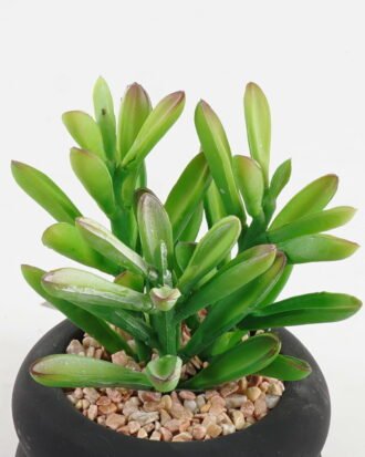 Artificial succulent 8*8*13cm potted leaf in cemnet pot GS-51723065 2024Feb YeahFlower is one of Chinese leading OEM manufacturers and exporters , supplying the silk flowers, wholesale artificial trees Artificial succulent 8*8*13cm potted leaf in cemnet pot GS-51723065 2024Feb YeahFlower is one of Chinese leading OEM manufacturers and exporters , supplying the silk flowers, wholesale artificial trees