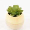 Artificial succulent 6*6*8cm potted leaf in ceramic pot GS-41323011 2024Jan YeahFlower is one of Chinese leading OEM manufacturers and exporters , supplying the silk flowers, wholesale artificial trees