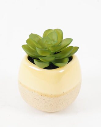 Artificial succulent 6*6*8cm potted leaf in ceramic pot GS-41323011 2024Jan YeahFlower is one of Chinese leading OEM manufacturers and exporters , supplying the silk flowers, wholesale artificial trees Artificial succulent 6*6*8cm potted leaf in ceramic pot GS-41323011 2024Jan YeahFlower is one of Chinese leading OEM manufacturers and exporters , supplying the silk flowers, wholesale artificial trees