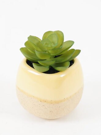 Artificial succulent 9*9*14cm Cactus in ceramic pot GS-41323010 Succulent 3,000+ sqm showroom with thousands of artificial flowers, plants & trees ready for global sourcing.
