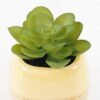 Artificial succulent 6*6*8cm potted leaf in ceramic pot GS-41323011 2024Jan YeahFlower is one of Chinese leading OEM manufacturers and exporters , supplying the silk flowers, wholesale artificial trees