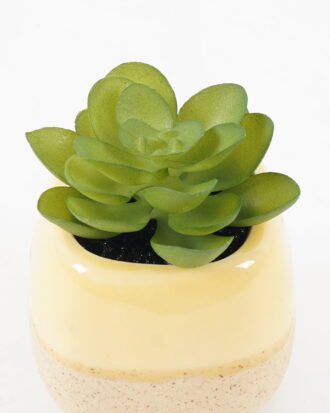 Artificial succulent 6*6*8cm potted leaf in ceramic pot GS-41323011 2024Jan YeahFlower is one of Chinese leading OEM manufacturers and exporters , supplying the silk flowers, wholesale artificial trees Artificial succulent 6*6*8cm potted leaf in ceramic pot GS-41323011 2024Jan YeahFlower is one of Chinese leading OEM manufacturers and exporters , supplying the silk flowers, wholesale artificial trees