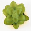 Artificial succulent 6*6*8cm potted leaf in ceramic pot GS-41323011 2024Jan YeahFlower is one of Chinese leading OEM manufacturers and exporters , supplying the silk flowers, wholesale artificial trees