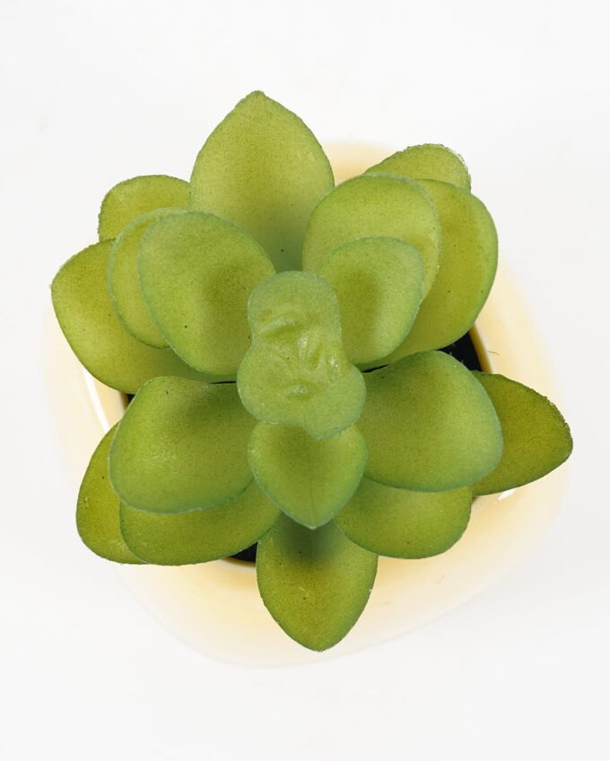 Artificial succulent 6*6*8cm potted leaf in ceramic pot GS-41323011 2024Jan YeahFlower is one of Chinese leading OEM manufacturers and exporters , supplying the silk flowers, wholesale artificial trees