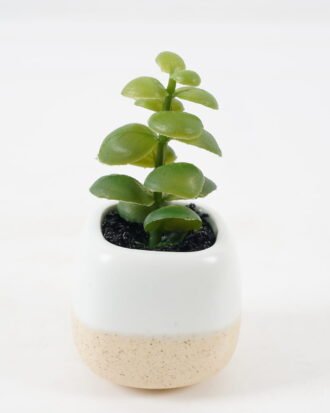 Artificial succulent 6*6*11cm potted leaf in ceramic pot GS-41323012 2024Jan YeahFlower is one of Chinese leading OEM manufacturers and exporters , supplying the silk flowers, wholesale artificial trees Artificial succulent 6*6*11cm potted leaf in ceramic pot GS-41323012 2024Jan YeahFlower is one of Chinese leading OEM manufacturers and exporters , supplying the silk flowers, wholesale artificial trees
