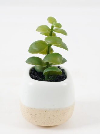 Artificial succulent 6*6*8cm potted leaf in ceramic pot GS-41323011 Succulent 3,000+ sqm showroom with thousands of artificial flowers, plants & trees ready for global sourcing.