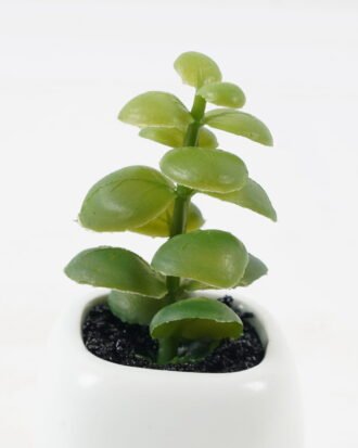 Artificial succulent 6*6*11cm potted leaf in ceramic pot GS-41323012 2024Jan YeahFlower is one of Chinese leading OEM manufacturers and exporters , supplying the silk flowers, wholesale artificial trees Artificial succulent 6*6*11cm potted leaf in ceramic pot GS-41323012 2024Jan YeahFlower is one of Chinese leading OEM manufacturers and exporters , supplying the silk flowers, wholesale artificial trees