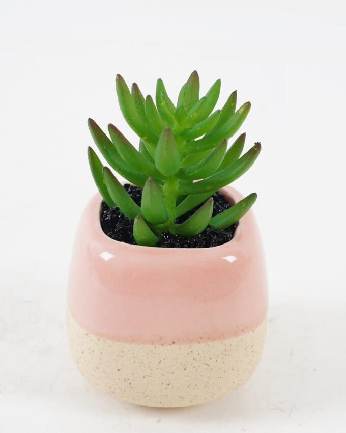 Artificial succulent 6*6*10cm potted leaf in ceramic pot GS-41323013 2024Jan YeahFlower is one of Chinese leading OEM manufacturers and exporters , supplying the silk flowers, wholesale artificial trees