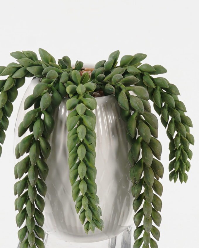 Artificial succulent 9*7*12cm potted leaf in ceramic pot GS-51723058 2024Feb YeahFlower is one of Chinese leading OEM manufacturers and exporters , supplying the silk flowers, wholesale artificial trees