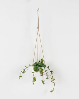 Artificial succulent 18*13*23cm potted leaf in pp pot GS-51723049 2024Feb YeahFlower is one of Chinese leading OEM manufacturers and exporters , supplying the silk flowers, wholesale artificial trees