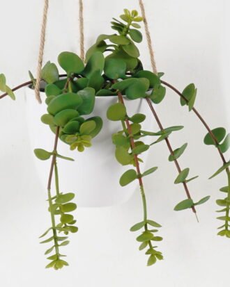 Artificial succulent 18*13*23cm potted leaf in pp pot GS-51723049 2024Feb YeahFlower is one of Chinese leading OEM manufacturers and exporters , supplying the silk flowers, wholesale artificial trees