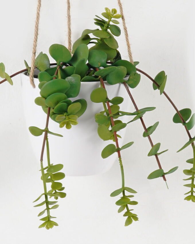 Artificial succulent 18*13*23cm potted leaf in pp pot GS-51723049 2024Feb YeahFlower is one of Chinese leading OEM manufacturers and exporters , supplying the silk flowers, wholesale artificial trees