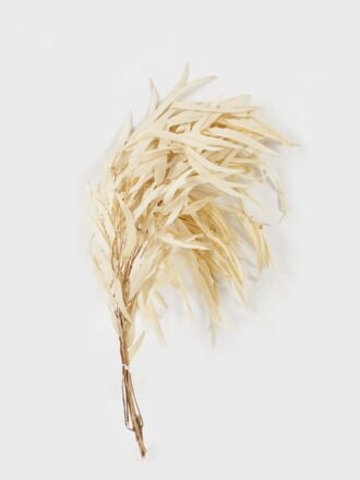 Dried Flowers 28*72cm Single Kwai Leaf,3pc/bag(REMARK :  standard : pcs not weight) GS-56619044-S1 Dried Flowers 3,000+ sqm showroom with thousands of artificial flowers, plants & trees ready for global sourcing.
