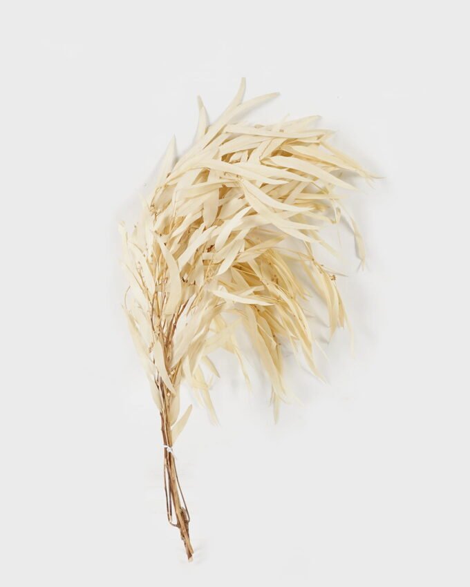 Dried Flowers 23*70cm Leaf bundle,80g/bag, H:60-70cm/pc GS-56620026-W1 2024Feb YeahFlower is one of Chinese leading OEM manufacturers and exporters , supplying the silk flowers, wholesale artificial trees