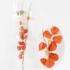 Dried Flowers 23*70cm Physalis peruviana *2 bundle,H:70cm/pc GS-56623158 2024Feb YeahFlower is one of Chinese leading OEM manufacturers and exporters , supplying the silk flowers, wholesale artificial trees
