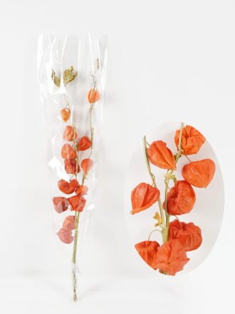 Dried Flowers 23*70cm Leaf bundle,80g/bag, H:60-70cm/pc GS-56620026-W1 Dried Flowers 3,000+ sqm showroom with thousands of artificial flowers, plants & trees ready for global sourcing.
