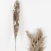 Dried Flowers Reed 3pc bag pc REMARK standard pcs not weight GS-56620104-K2_3 Dried Flowers 17*110CM Reed,3pc/bag, H:110cm/pc(REMARK :  standard : pcs not weight) GS-56620104-K2 2024Jan YeahFlower is one of Chinese leading OEM manufacturers and exporters , supplying the silk flowers, wholesale artificial trees