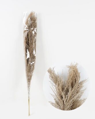 Dried Flowers 17*110CM Reed,3pc/bag, H:110cm/pc(REMARK :  standard : pcs not weight) GS-56620104-K2 2024Jan YeahFlower is one of Chinese leading OEM manufacturers and exporters , supplying the silk flowers, wholesale artificial trees