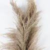 Dried Flowers Reed 3pc bag pc REMARK standard pcs not weight GS-56620104-K2_6 Dried Flowers 17*110CM Reed,3pc/bag, H:110cm/pc(REMARK :  standard : pcs not weight) GS-56620104-K2 2024Jan YeahFlower is one of Chinese leading OEM manufacturers and exporters , supplying the silk flowers, wholesale artificial trees