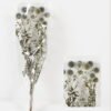Dried Flowers 16*55CM Teazle fruit,60g/bag, H:50-55cm/pc GS-56620102 2024Jan YeahFlower is one of Chinese leading OEM manufacturers and exporters , supplying the silk flowers, wholesale artificial trees