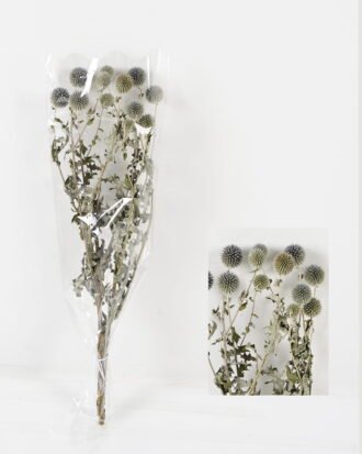 Dried Flowers 16*55CM Teazle fruit,60g/bag, H:50-55cm/pc GS-56620102 2024Jan YeahFlower is one of Chinese leading OEM manufacturers and exporters , supplying the silk flowers, wholesale artificial trees