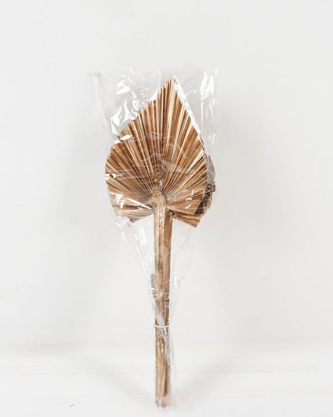 Dried Flowers 20.5*50CM palm-leaf fan, 3pcs/bag GS-56620007-J1 2024Jan YeahFlower is one of Chinese leading OEM manufacturers and exporters , supplying the silk flowers, wholesale artificial trees