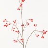 Artificial Branch fruit 25*25*93cm Fruit *2 single stem GS-53623071-R1 2024Feb YeahFlower is one of Chinese leading OEM manufacturers and exporters , supplying the silk flowers, wholesale artificial trees