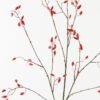 Artificial Branch fruit 32*133cm Fruit *3 single stem GS-53623073-R1 2024Feb YeahFlower is one of Chinese leading OEM manufacturers and exporters , supplying the silk flowers, wholesale artificial trees