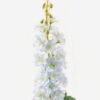 Artificial Flower 18 93 Single Delphinium GS-1460028-B2_7 Artificial Flower 18*93 Single Delphinium GS-1460028-B2 2024Feb YeahFlower is one of Chinese leading OEM manufacturers and exporters , supplying the silk flowers, wholesale artificial trees