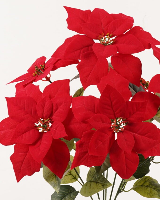 Artificial Flower 38*38*53cm Christmas flower *7 bush GS-61523001 2024Feb YeahFlower is one of Chinese leading OEM manufacturers and exporters , supplying the silk flowers, wholesale artificial trees