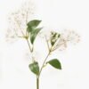 Artificial Flower 13*13*45cm Coriaria sinica *2 single stem GVC-24-3061-W1 2024Mar YeahFlower is one of Chinese leading OEM manufacturers and exporters , supplying the silk flowers, wholesale artificial trees