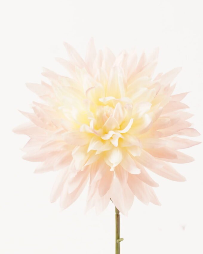 Artificial Flower 16*65cm Dahlia single stem GS-0600141R-P1 2024Feb YeahFlower is one of Chinese leading OEM manufacturers and exporters , supplying the silk flowers, wholesale artificial trees