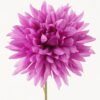 Artificial Flower 16*65cm Dahlia single stem GS-0600141R-Z2 Single Flowers YeahFlower is one of Chinese leading OEM manufacturers and exporters , supplying the silk flowers, wholesale artificial trees